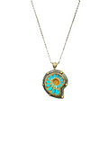 Bora Kingmans Turquoise Ammonite