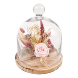 Andaluca 10" Preserved Botanical Cloche