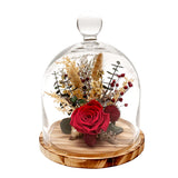 Andaluca 10" Preserved Botanical Cloche