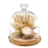 Andaluca 10" Preserved Botanical Cloche