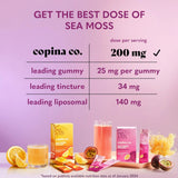 Copina Co. Passionfruit Sea Moss Refresher Drink- 8 Stick Pack in Carton