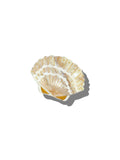 Solar Eclipse Hand-painted Seashell Golden Sand Claw Hair Clip | Eco-Friendly