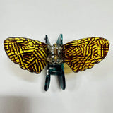 Medusas Heirlooms Green Bee Insect Jaw