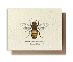 Small Victories Honey Bee Wildflower Plantable Herb Seed Card