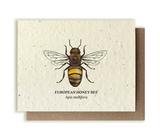 Small Victories Honey Bee Wildflower Plantable Herb Seed Card