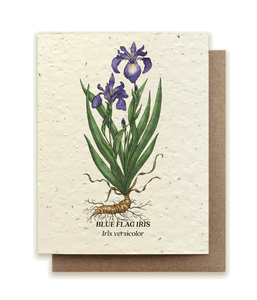 Small Victories Iris Wildflower Plantable Seed Card