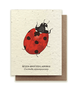 Small Victories Seven-Spotted Ladybug Wildflower Plantable Seed Card