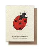 Small Victories Seven-Spotted Ladybug Wildflower Plantable Seed Card