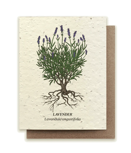 Small Victories Lavender Plantable Wildflower Seed Card