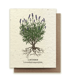 Small Victories Lavender Plantable Wildflower Seed Card