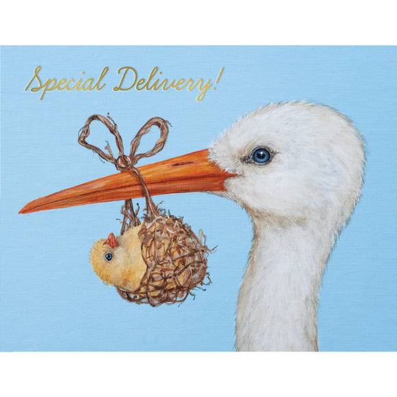 Hester & Cook Baby Stork 'Special Delivery' Card