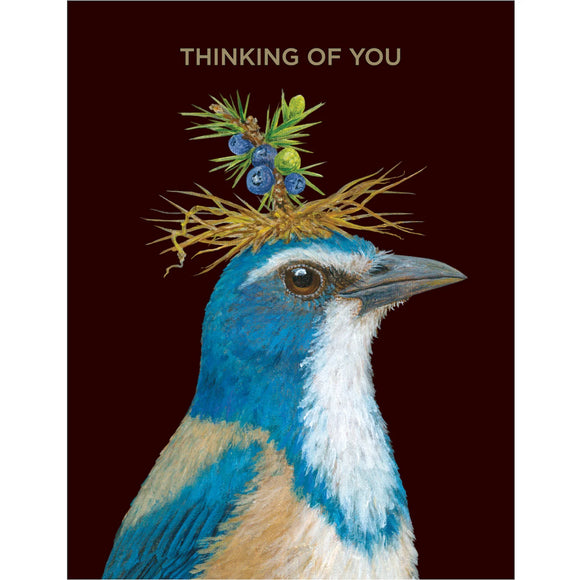 Hester & Cook Thinking Of You Blue Jay Card