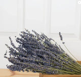 Andaluca French Lavender Bundle