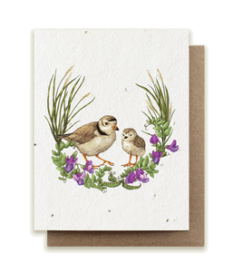 Small Victories Plovers Plantable Herb Seed Card