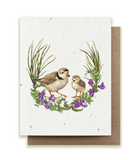 Small Victories Plovers Plantable Herb Seed Card