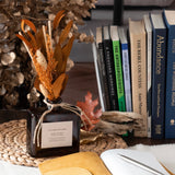 Andaluca Autumn Orchard Bouquet Reed Bundle Fragrance Diffuser